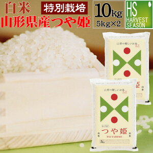  ʍ͔|ĎR`YP 10kg(5kg×2)yzߘa6NYy͔ĂłBĂł͂܂zSOYăW܁kCւ͕ʓr760~zyRrjΉiz