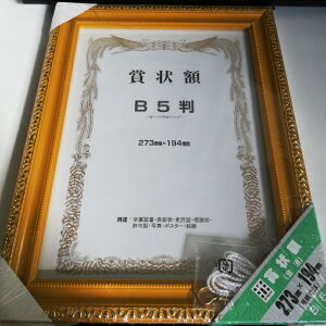 yJzai FRAME ܏z B5 273mmx194mmip@j 