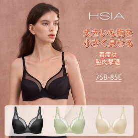 60%OFF ブラジャー 大きいサイズ薄め 胸を小さく見せるブラ シームレス 脇肉 着痩せ レディース ブラ フルカップ 大きいサイズ 背中 スッキリ補正下着 垂れ防止 快適着用 安定感 レディース ランジェリー