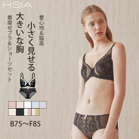 ブラジャー ショーツ セット 大きいサイズ 薄め 胸を小さく見せるブラ ブラレット Lace レース 上げ 痛くない レディース 上下セット 着痩せ 脇肉 おしゃれ セクシー ブラジャー 美盛り ワイヤー入り バストアップ 垂れ防止 快適着用 ブラ＆ショーツ ルールスマートブラ