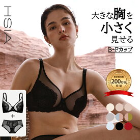ブラジャー 胸を小さく見せるブラ 着痩せブラ ブラジャー 軽量 ブラジャー 大きいサイズ ワイヤー入り フィット ブラジャー セクシー 薄い レース 補正 脇肉 痛くない 可愛い 涼しい 通気 寄せ上げ 脇肉 大きな胸 レディース フルカップ 夏用