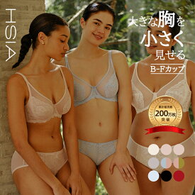 70%OFF！ブラジャー 胸を小さく見せるブラ 着痩せブラ ブラジャー 軽量 ブラジャー 大きいサイズ ワイヤー入り フィット ブラジャー セクシー 薄い レース 補正 脇肉 痛くない 可愛い 涼しい 通気 寄せ上げ 脇肉 大きな胸 レディース フルカップ 夏用