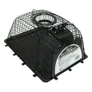 [Rp]@ubNE`[nEX^iChj@ ::hst:04