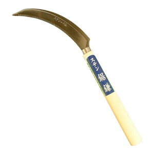 [Z[uC_Xg[]@XeX@SV-2157 ::hst:04