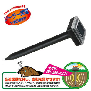 [Z[uC_Xg[]@\[[ Oފ 2{@SV-5141 ::hst:04