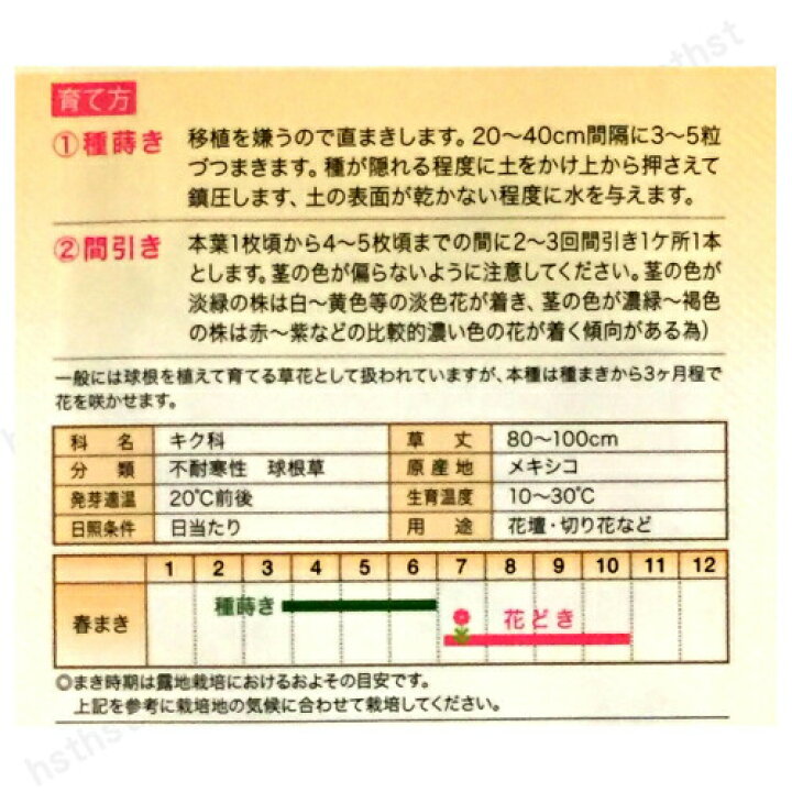 楽天市場 メール便対応 種子ダリア春まき 春薪 たね タネ 02p03dec30 Hst 04 ホームショップつげ