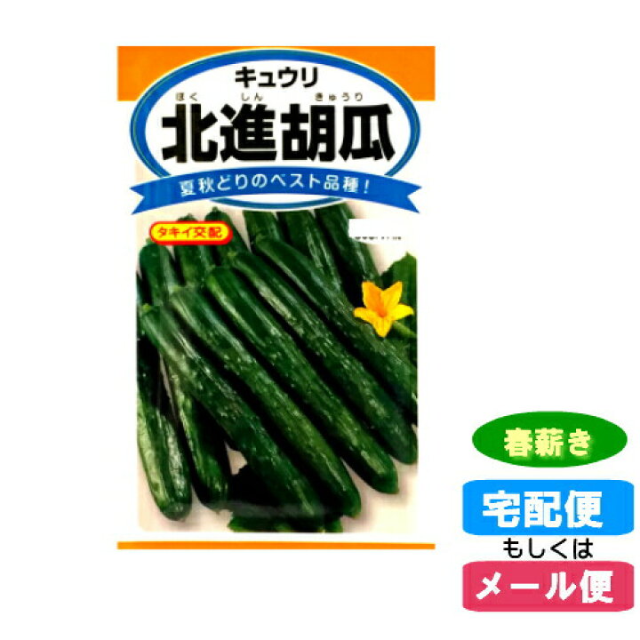 楽天市場 メール便対応 種子北進胡瓜 ホクシンキュウリ きゅうり 春まき 春薪 たね タネ 02p03dec30 Hst 04 ホームショップつげ 楽天市場 メール便対応 種子北進胡瓜 ホクシンキュウリ きゅうり 春まき 春薪 たね タネ 02p03dec30 Hst 04 ホームショップつげ