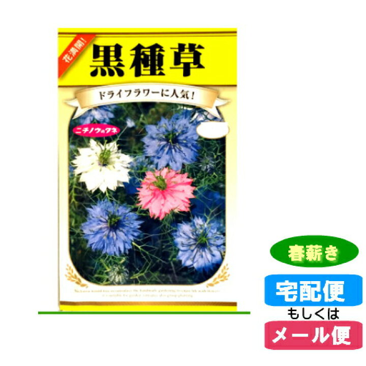 楽天市場 メール便対応 種子黒種草 ニゲラ 春まき 春薪 たね タネ 02p03dec30 Hst 04 ホームショップつげ