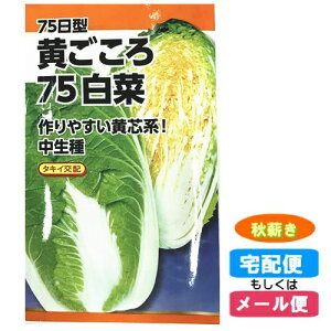 75 75^  q H܂(HdEˁE^l)([֑Ή)q :hst:04