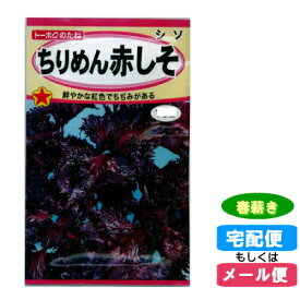 【メール便対応】種子 ちりめん赤しそ 春まき(春薪・たね・タネ)::hst:04