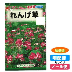 秋 ガーデニング 花 種の人気商品 通販 価格比較 価格 Com