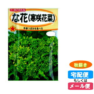 秋 ガーデニング 花 種の人気商品 通販 価格比較 価格 Com 秋 ガーデニング 花 種の人気商品 通販 価格比較 価格 Com