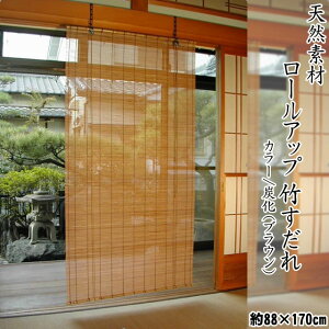 VRf |@[Abv@TCYF()88cm×170cm (ʏ݌ɔ̔) J[FuE / fށFVR| / q[gt ( X_E悵E|E|J[e):hst:04