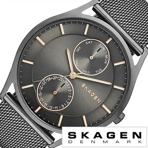 XJ[Q SKAGEN rv v zXg Holst Y fB[X O[ SKW6180 lC V s uh h v xg U[ k ^ v[g Mtg