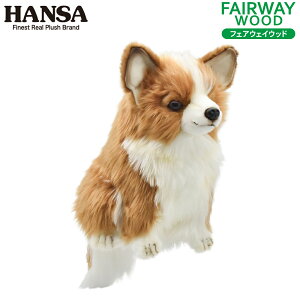 HANSA/nT wbhJo[ ʂ ` FWp tFAEFCEbhp BH8179Chihuahua hbO  Aj}  yz