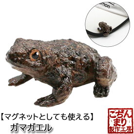 楽天市場 ガマガエルの通販