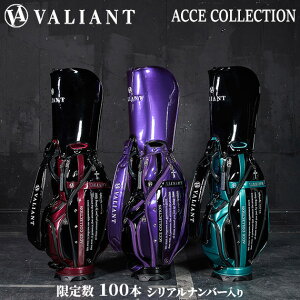 yʌzVALIANT 2025 1st STANDARD ACCE COLLECTION LfBobO VAio[胔@Ag oAg St LfBobO Y J[gobO LfB[obN StobO M