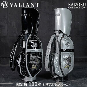yʌzVALIANT 2025 1st STANDARD KAIZOKU COLLECTION LfBobO VAio[胔@Ag oAg St LfBobO Y J[gobO LfB[obN StobO 
