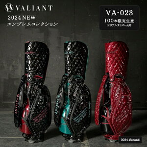 VALIANT @Ag 2024.SECOND STANDARD VA-023 GuRNV LfBobO Y   jZbNX J[gobO LfB[obN StobO v[g Mt