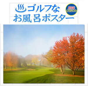 StRy ii StȂC|X^[gt̃StR[X CeA G  蕨 i Mtg Ryii Ryܕi Q LO ̓ ̓ hV̓ q̓ aHT