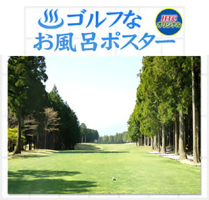 StRy ii StȂC|X^[̗΂̃StR[X CeA G  蕨 i Mtg Ryii Ryܕi Q LO ̓ ̓ hV̓ q̓ a