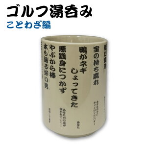 Stۂ Ƃ킴 WGOODS058 StRy ii ̂ H 蕨ܕi i  ObY Stpi G Mtg 蕨 H ̂ HTCSt HTCIWii zNV