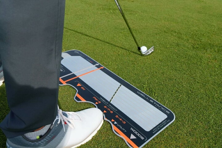 楽天市場】【日本正規品】Wellstance/ウェルスタンス 専用キャリー 