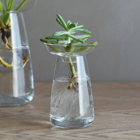 KINTO アクアカルチャーベース 80mm 一輪挿し 多肉植物 水耕栽培 フラワーベース ガラス 花瓶 花器 北欧 オシャレ おしゃれ ギフト シンプル インテリア 雑貨 花 フラワー 植物 球根 栽培 ヒヤシンス 母の日 花以外