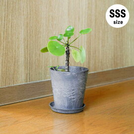 プランター鉢植木鉢3号4号amabroARTSTONE（SSS）アートストーンインテリア植物軽量