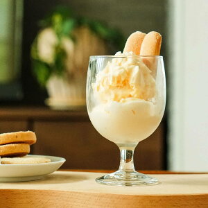 ؑɎqX BN KEfB 8ozC COX Ⴂ JWA ƈ r[ W[X fU[g Mtg Vv  Xg JtF iX X^bLO Mtg q 