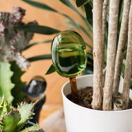 amabro アマブロ TWOTONE WATER DISPENSER L ウォーターディスペンサーL 水差し 自動給水器 自動水やり器…