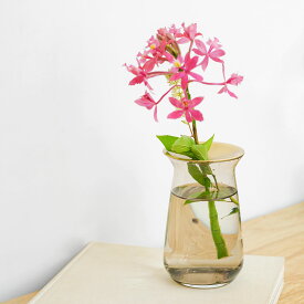 KINTO LUNA ベース 80x130mm 一輪挿し 真鍮 多肉植物 水耕栽培 フラワーベース ガラス 花瓶 花器 北欧 オシャレ おしゃれ ギフト かわいい インテリア 雑貨 母の日 花以外