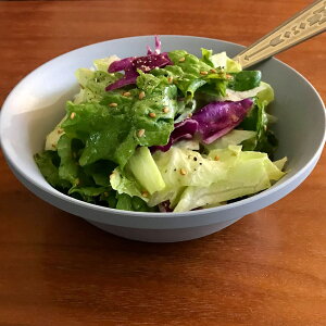 TRIBECA PLAWARE Bowl gCxbJ vEFA {E M 15cm  H vX`bN t[c{E T_ H@Ή dqWΉ  ɂ y y {