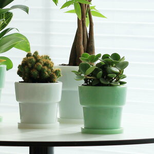 ideaco Milk Glass Planter Pot 3 CfAR ~NKXv^[ |bg3 v^[  Aؔ 3 KX A A  ͔| ϗtA K[fjO O  v[g Mtg 킢 
