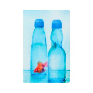 ʐ^x   킢  ubN}[J[ ubN}[N A6 Ǐ