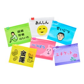 ニューレトロ ジッパーバッグ S（6枚入り）ジップ袋 マチ付き ジッパー式ポリ袋 スライドジッパー 小分け袋 ビニール 透明 クリア