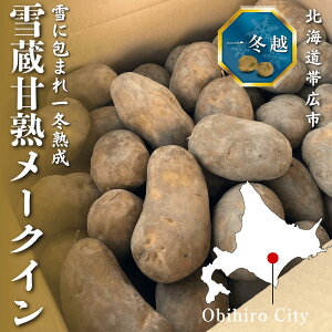 yzynႪz ᑠÏn[NC@~z@kCY kCэLs 3kg 5kg Ⴊ@kCႪ