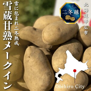 yzynႪz ᑠÏn[NC@~z@kCY kCэLs 3kg 5kg Ⴊ@kCႪ