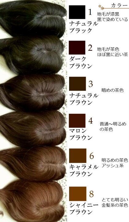 楽天市場 ウィッグ ヘアピース 部分ウィッグ ポイントウィッグ ヘアトップピース エクスティアラ ボブタイプ ６色 宅配便送料無料 リンロンフワミー