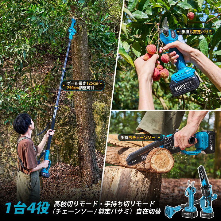 楽天市場】＼マラソン限定P10倍／SEESII 高枝切り 電動チェーンソー 