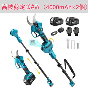 �_��800�~�N�[�|���z�z����18������^�y40mm �����|�[���t���zElikliv ���}�؂� �[�d������΂��� ���}�؂�o�T�~ �d�� �}�؂�΂��� �J����40mm 4�i�K�J�� �p�x�����\ �y�� �d������o�T�~ ��