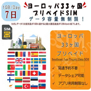 [bp35JΉ COSIM vyChSIM [bp V 35JΉ 11GBp 7 4G LTE f[^p Oݒsv SIM COo COs Znq ꎞA s Z o