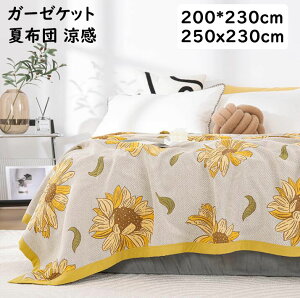 yzK[[Pbg K[[uPbg \t@[Jo[ CG[ Ђ܂蕿 Ċ| | _u NC[ 100% K[[  z z y ʋC 􂦂 QPbg ^IP