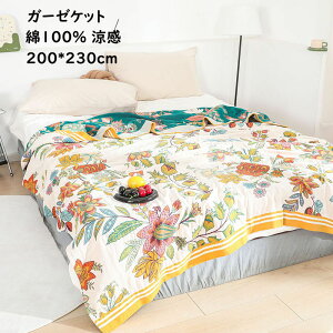 yzK[[Pbg  z z y ʋC K[[uPbg ԕ {w~A _u Ċ| 100% K[[ 􂦂 QPbg ^IPbgĕzc Rbg zc |z