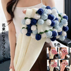 �y�V�N�M�t�g ���������z�ԑ��u�����P�b�g ���� ��҂��K�N �o�� 110cm 160cm �u�[�P�u�����P�b�g �����i ���̎q ���l�ւ̃f�[�g �v���[���g �a���� ��̓��M�t�g �Ђ��|�� ���Q�Ɏg���� �G