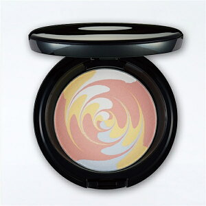 ZO[X OE uh vXgpE_[ ی삨낢 tB{pt P[Xʔ 10g