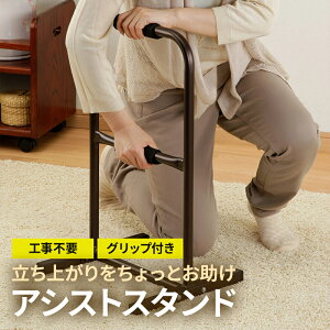 AVXgX^h II CPKKS729990 ⏕肷 肷 萠 オp オ  gC X^h AVXg ܂₷ Obv t  2iK N⏕  p pi H