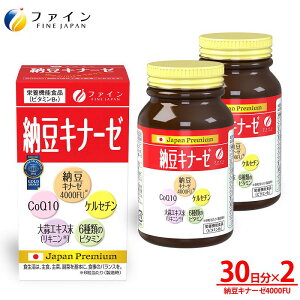 �t�@�C�� �[���L�i�[�[ 240�� × 2�Z�b�g 60���� FN000455-2 �[�� ���L �R�G���U�C��Q10 �r�^�~��E �r�^�~��B �t�_ �P���Z�`�� �j���j�N�G�L�X �� �T�v�� �T�v�������g ���e ���N �t�_�T�v�� �h�� 