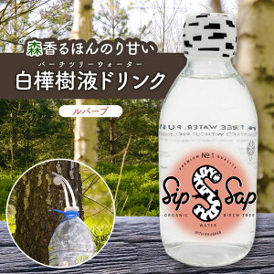 Sip Sap Rhubarb ( o[u ) 250ml × 12{ RM4710 W[X hN  t o[`c[EH[^[ VRt i` VbvTbv X̍ ق̂Â RȊÂ [ Xї R