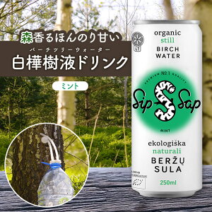 Sip Sap Mint ( ~g ) 250ml × 12{ RM4864 W[X hN  t o[`c[EH[^[ VRt i` VbvTbv X̍ ق̂Â RȊÂ Xї R̍ 